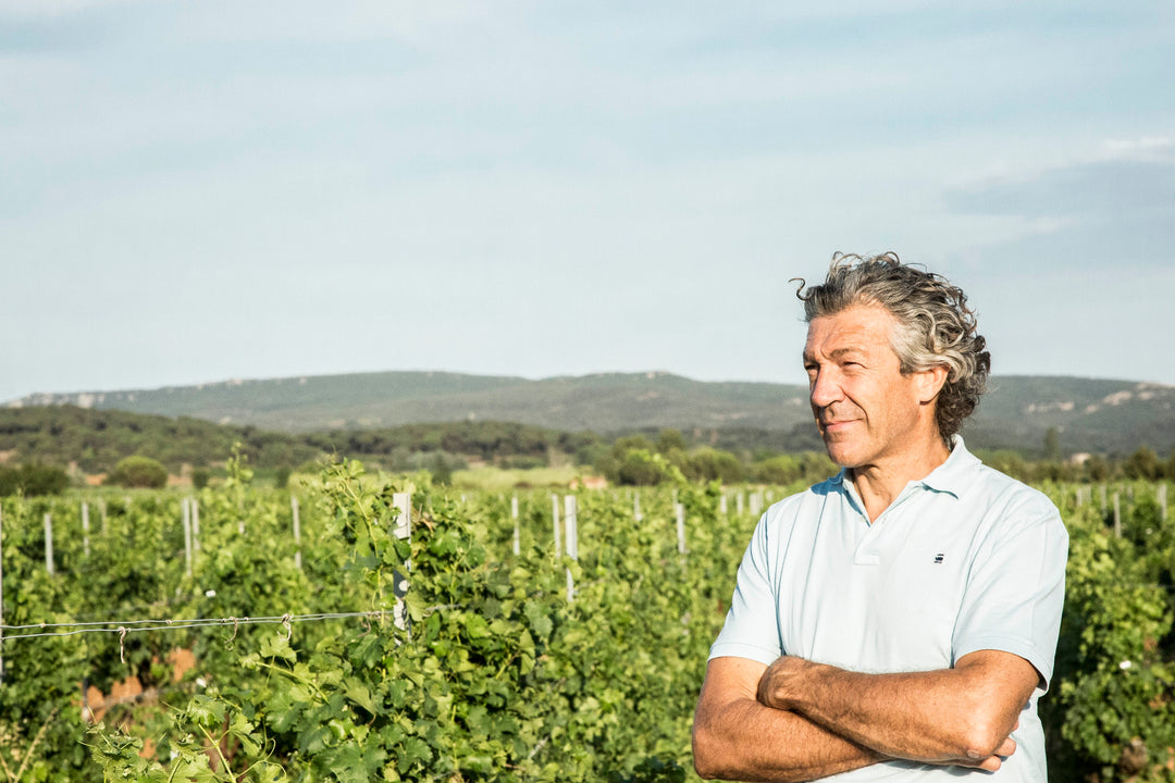 Entre cuvées accessibles et très haut de gamme, comment Gérard Bertrand a-t-il démocratisé le vin orange en France ? by @lefigarovin
