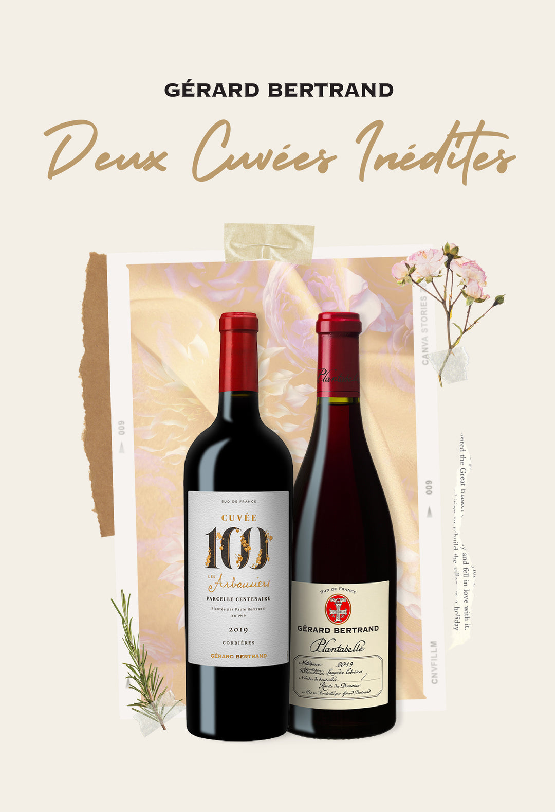 Nouveautés : deux cuvées au terroir 100% languedocien