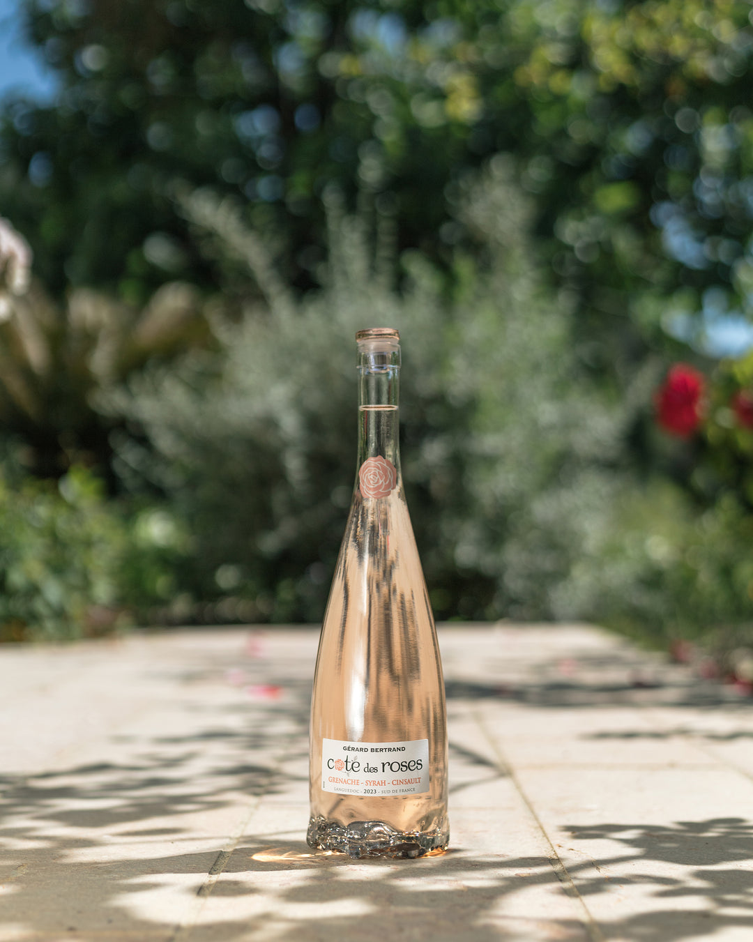 Cote des Roses rosé 2023