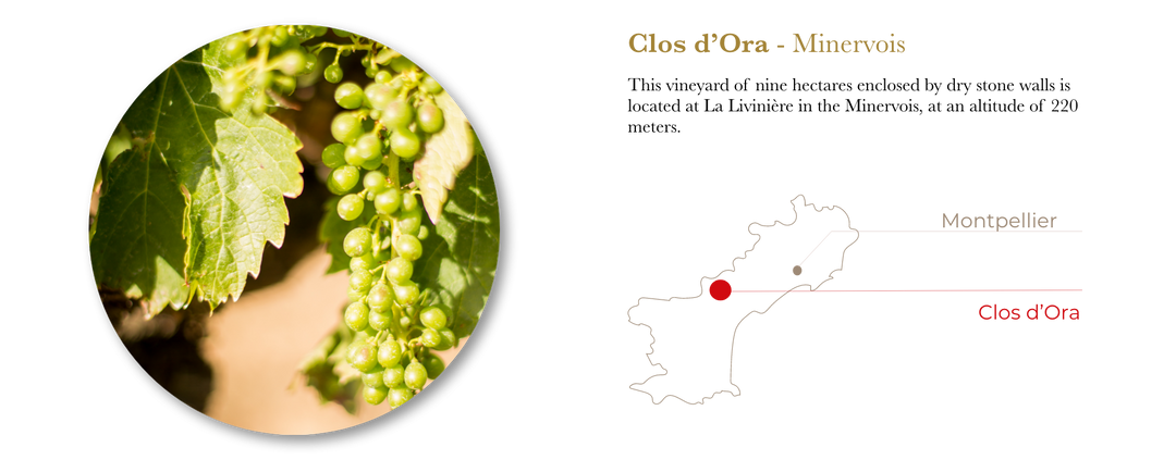 Clos d'Ora Minervois