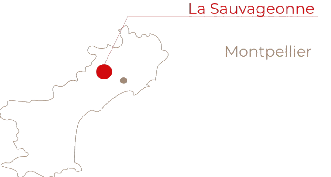 La Sauvageonne 
Montpellier
Location